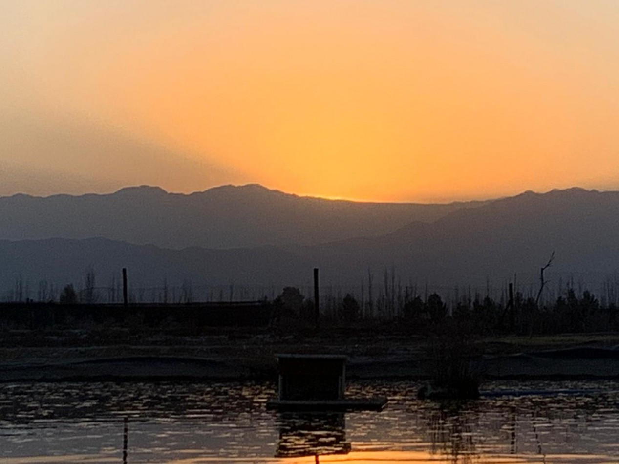 FINCA Y BODEGA 