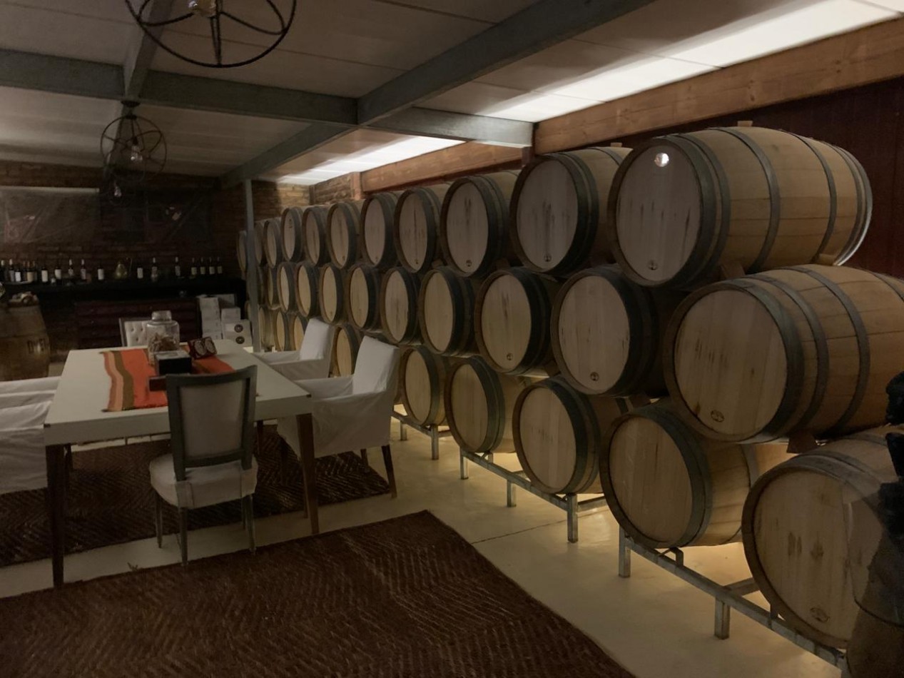 FINCA Y BODEGA 
