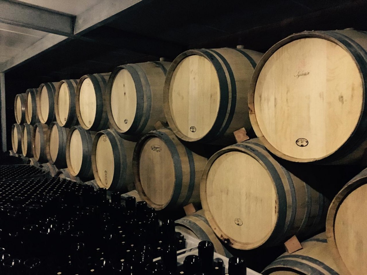 FINCA Y BODEGA 