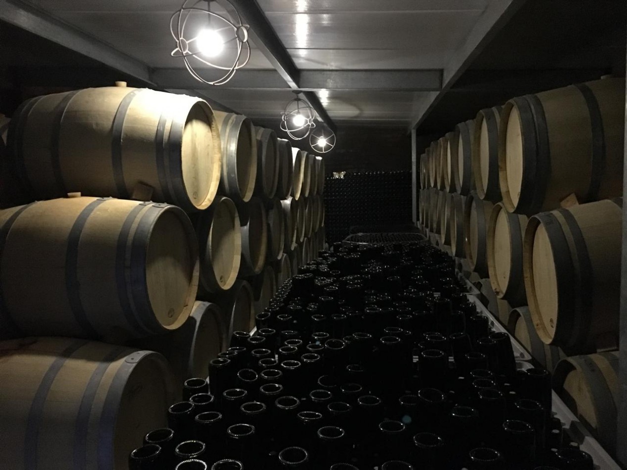 FINCA Y BODEGA 