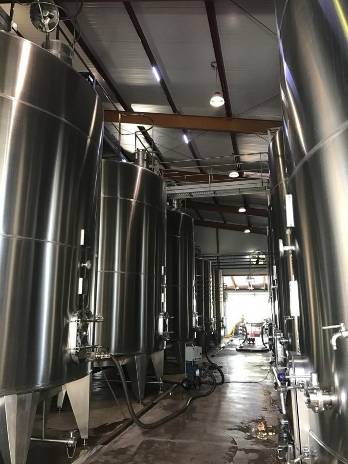 FINCA Y BODEGA 