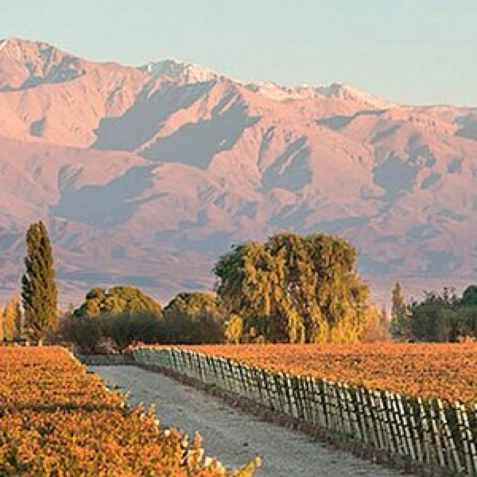 FINCA ORIGEN ANDINO
